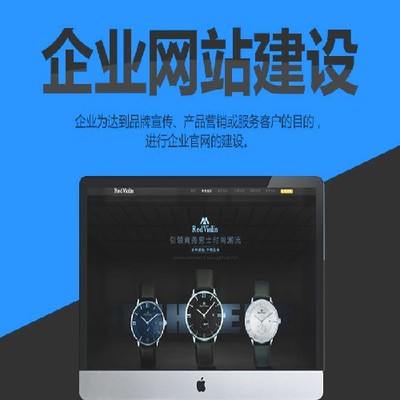 深圳罗湖网站建设 专业服务助力企业数字化腾飞